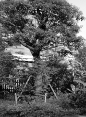 沛县注册公司